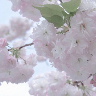 Furry色彩搭配实用技巧Furry群